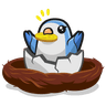 Hatch